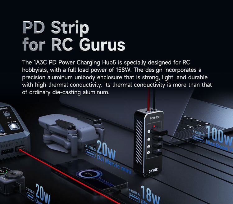 SKYRC D200NEO Dual Channel Intelligent Balanced Charger AC200W DC800W 20A 2-6S Aircraft Model - CaptainRC